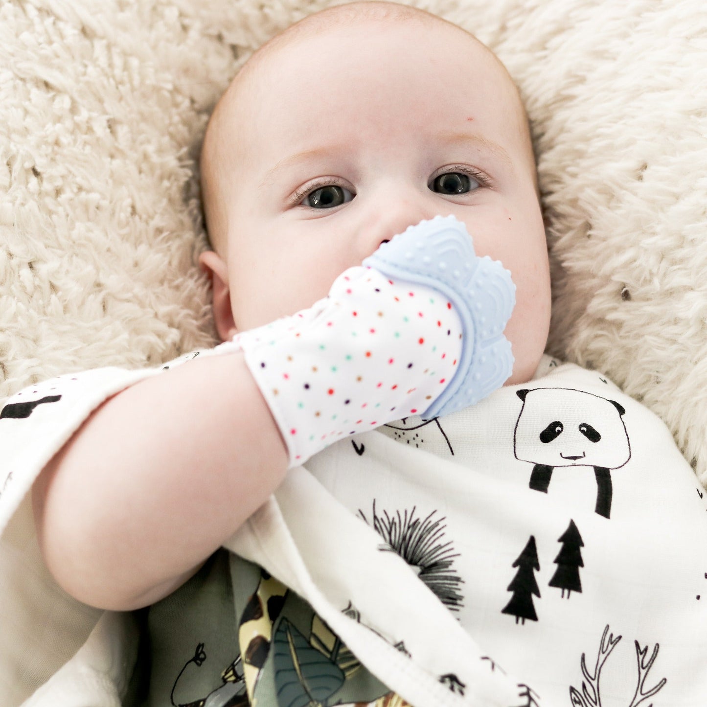 Teething munch mitten bib burp cloth baby Australia Zebra Babies