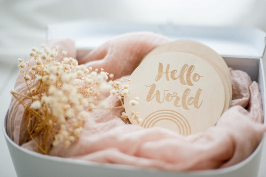 milestone discs wooden - Hello World to 1 Year Old