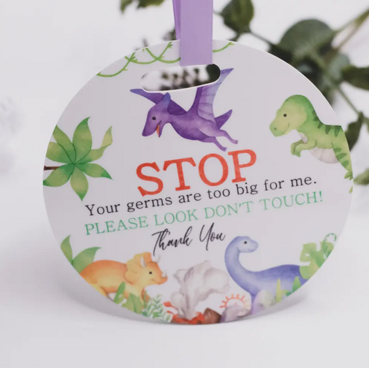 Pram Plaque STOP your germs are too big for me Dinosaurs