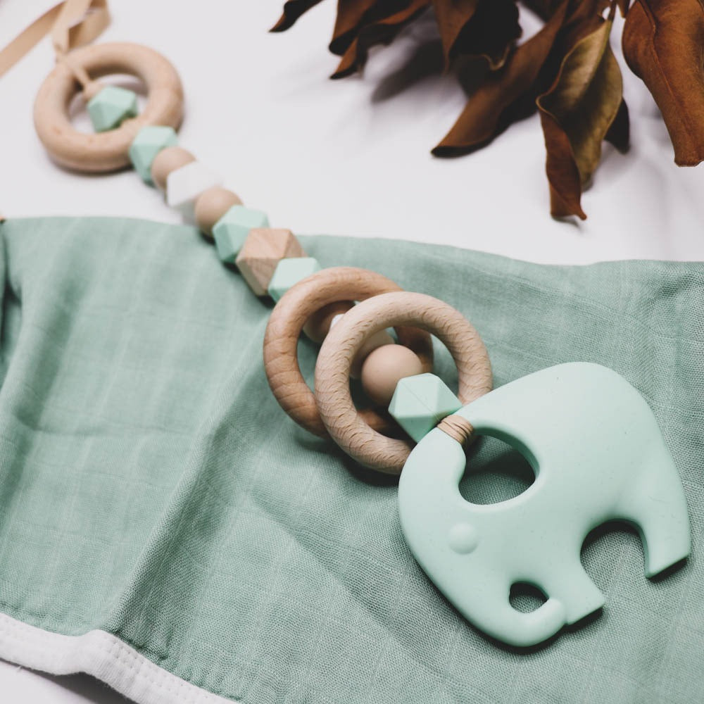 Pram toy, teething baby gym toy for pram or baby gym
