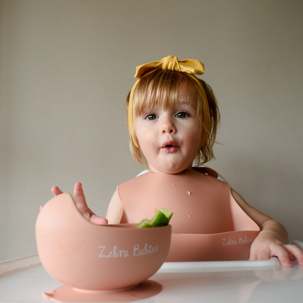 Silicone Bib Scoop Catch Bibs