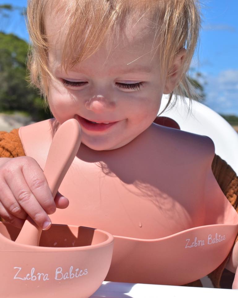Silicone Bib Scoop Catch Bibs