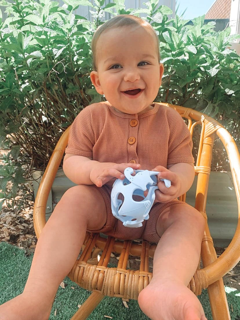 Silicone Dinosaur Sensory Teething Ball Our dinosaur teething balls are great for little hands to grasp, stimulating sensory play time, textured flexible toy to help soothe baby's gum.